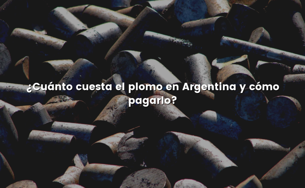 ¿Cuánto cuesta el plomo en Argentina y cómo pagarlo?