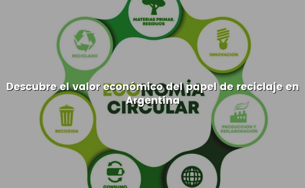 Descubre el valor económico del papel de reciclaje en Argentina