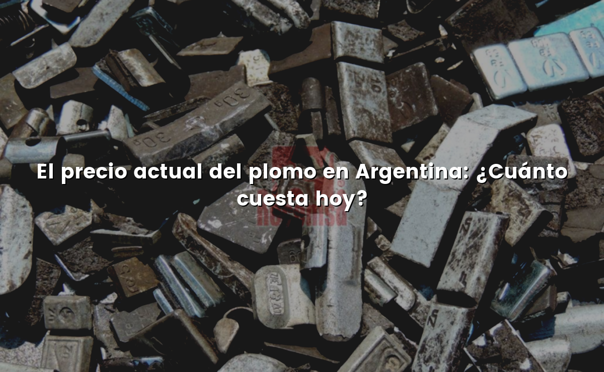 El precio actual del plomo en Argentina: ¿Cuánto cuesta hoy? - ¿Cómo Pagar?