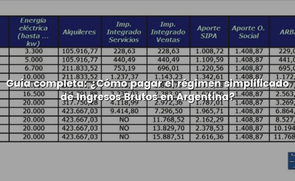 Guía completa: ¿Cómo pagar el régimen simplificado de Ingresos Brutos en Argentina?
