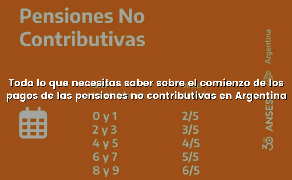 Todo lo que necesitas saber sobre el comienzo de los pagos de las pensiones no contributivas en Argentina